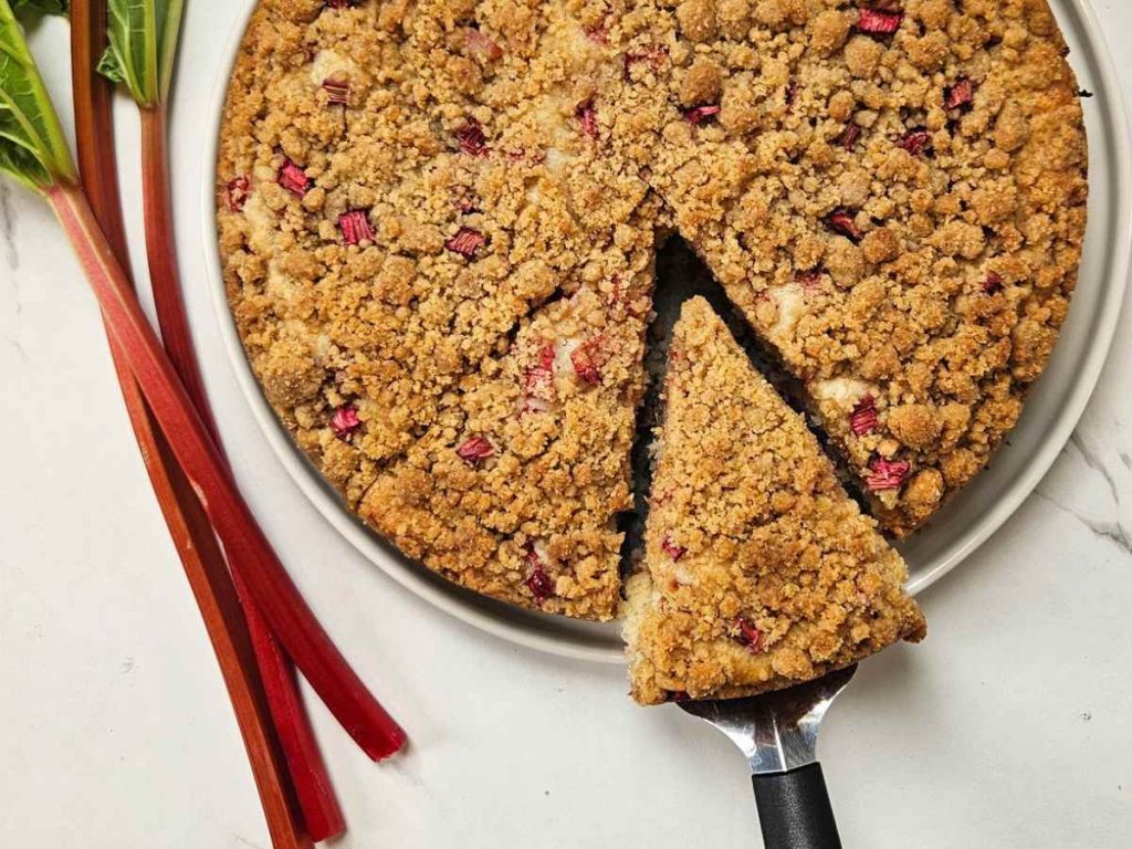 Rhubarb Sourdough Cake on a plate with fresh rhubarb on the side