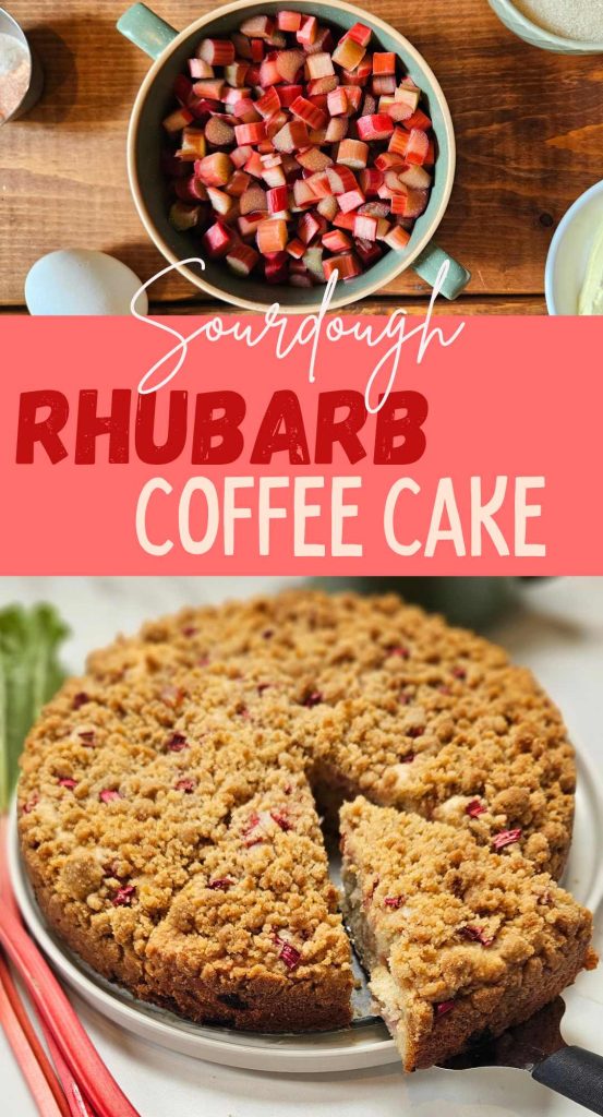 pin for sourdough rhubarb coffee cake